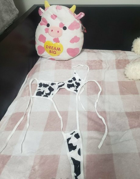 Leycantplay かわいいスター 写真