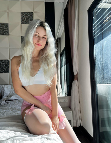 hanneycorn HDモデル 画像