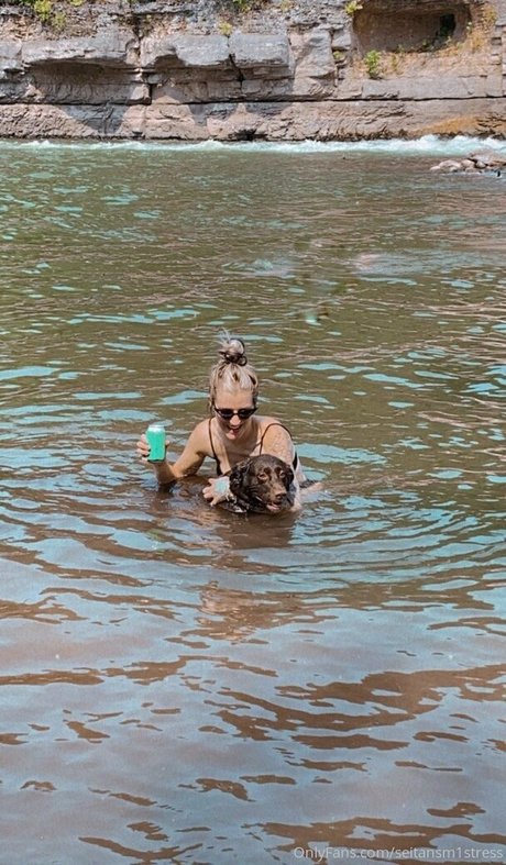 brookes world ホットスター アーカイブ