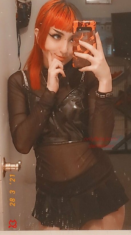 dantesaan 美しいスター 写真