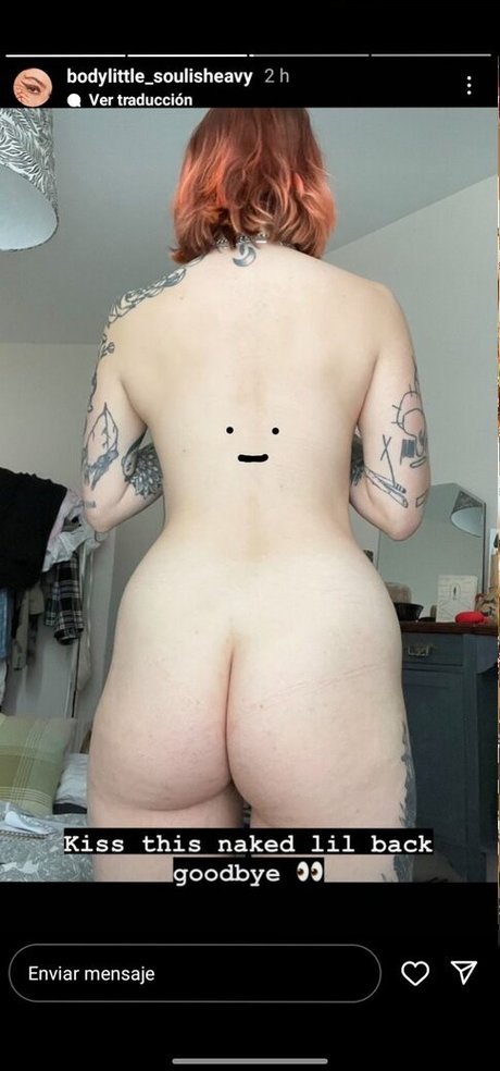 IvyElf アートスター 写真