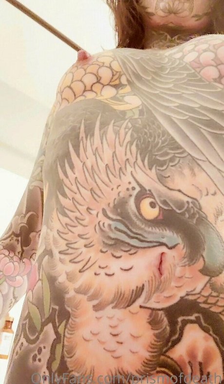 prismofdeath アートポルノスター 写真