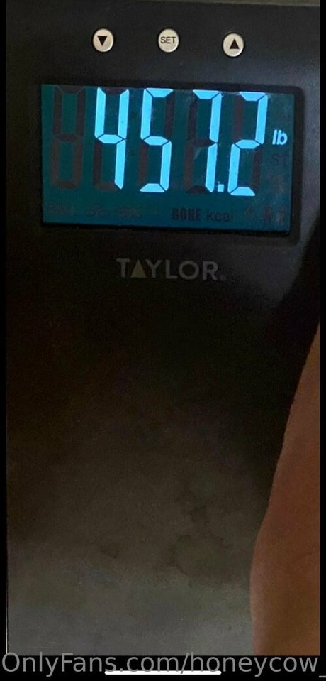 honeycow 17 独占ポルノスター 写真