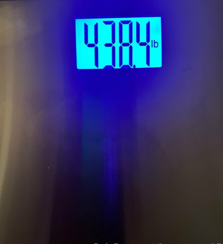 honeycow 17 エロティックモデル 写真