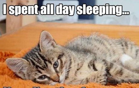 nicoleauclairfree 最高のモデル ギャラリー