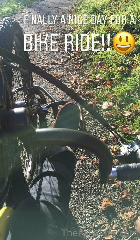 theparatara ポルノスター 写真