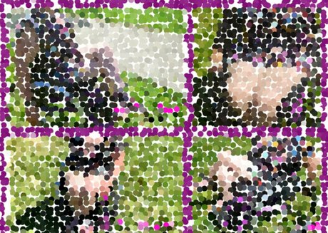 theparatara 独占モデル 画像