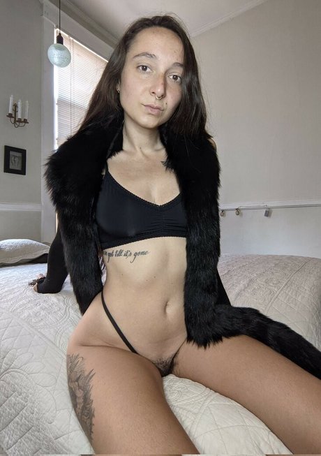 獣医オンリーファンズ パーフェクト 画像