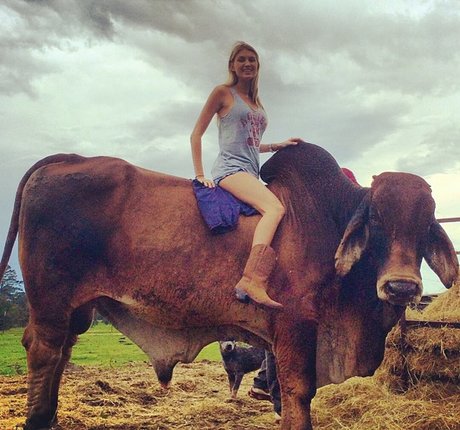 アナルコスプレオンリーファンズ ホットセクシー 画像