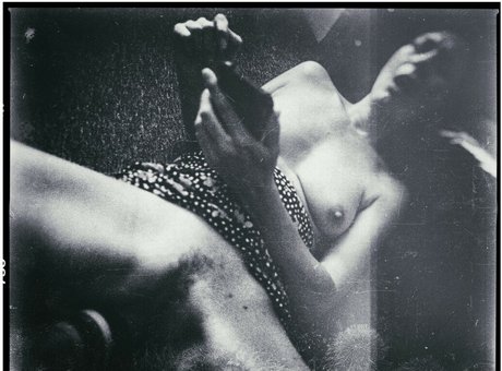 spiderplant 独占女優 写真