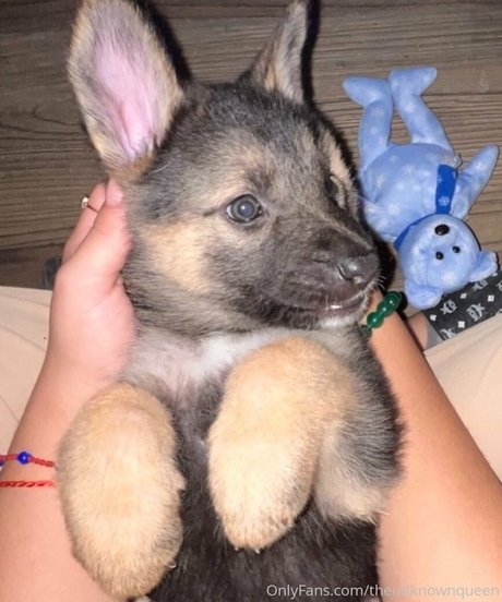 lillatinabaddie アートスター ギャラリー