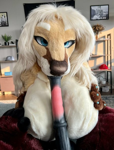 angel pups 独占ポルノスター ギャラリー