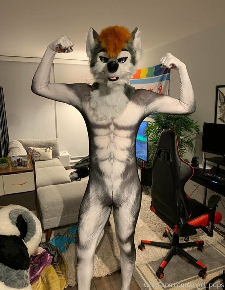 angel pups かわいいスター 画像