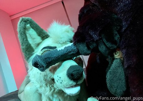 angel pups ホットなモデル 写真