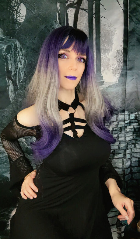 Little Finch ホットスター 画像