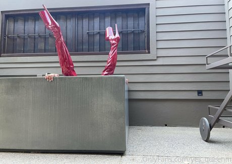 marisol vip ホットスター アーカイブ