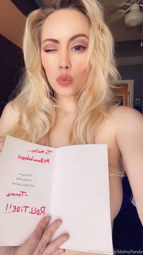 malloypanda 素敵なスター 画像