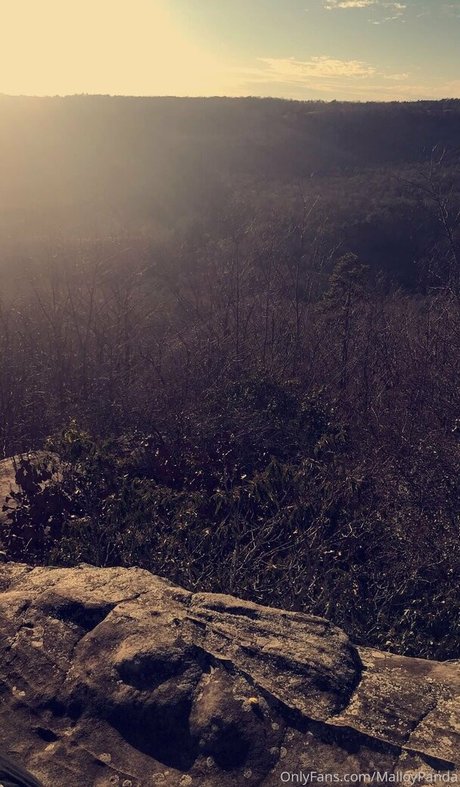 malloypanda 高品質スター 写真