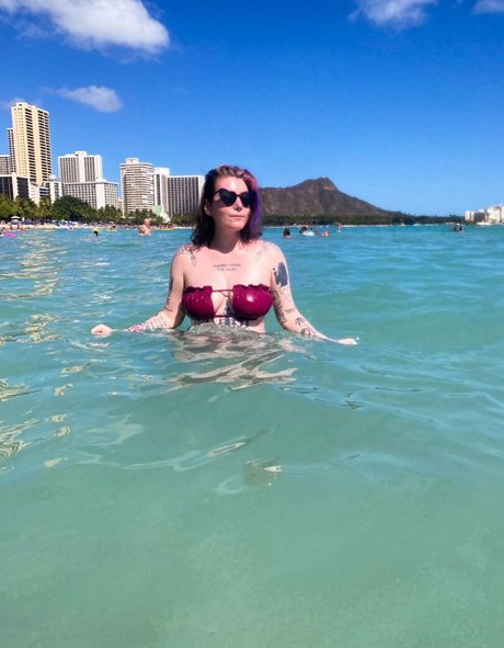 Ready To Glare 高品質スター 画像