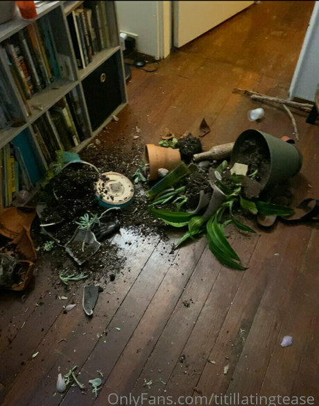 バニーコスプレ オンリーファンズ 無料ヌード 写真