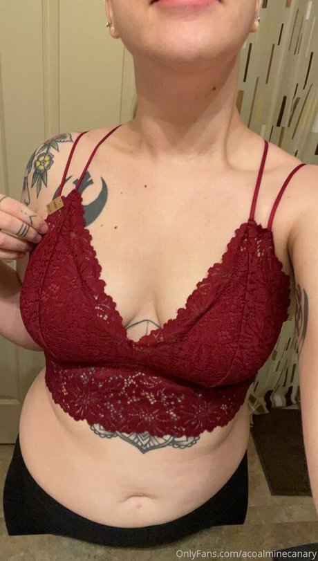 acoalminecanary 裸の女優 写真