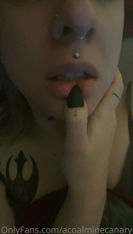 acoalminecanary ヌードモデル 画像