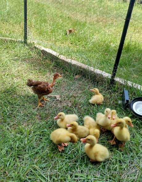 金髪の筋肉オンリーファンズ ホットxxx ギャラリー