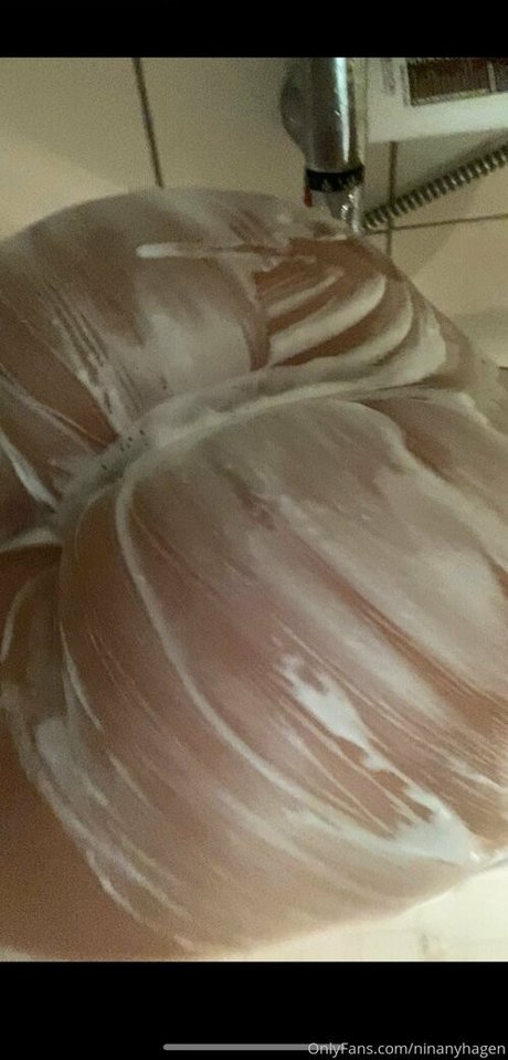 ninanyhagen xxxポルノスター 写真