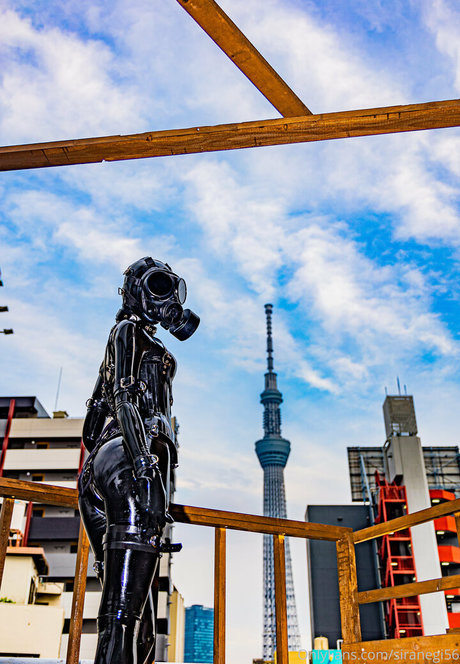 siranegi56 ポルノスター 可愛い 画像