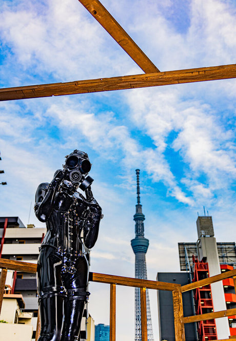 siranegi56 裸のポルノスター アーカイブ