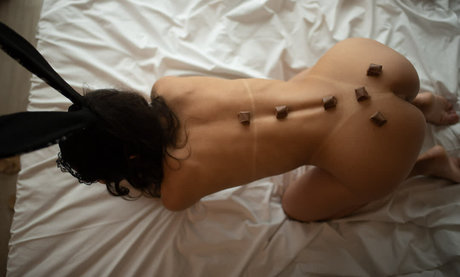 Mifit 限定モデル 写真