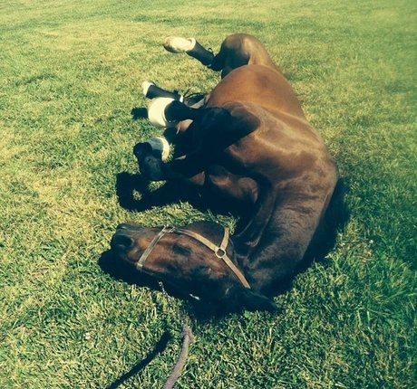 中出し 主観 オンリーファンズ HD 写真