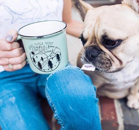 Michelle Laframboise XXXモデル 写真