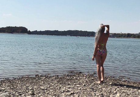 Farbenfuchs 高品質のスター アーカイブ