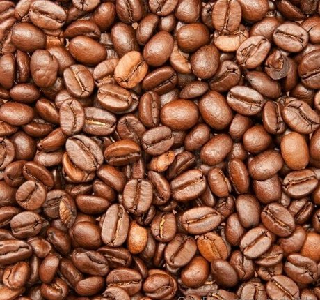 sandrable トップスター 画像