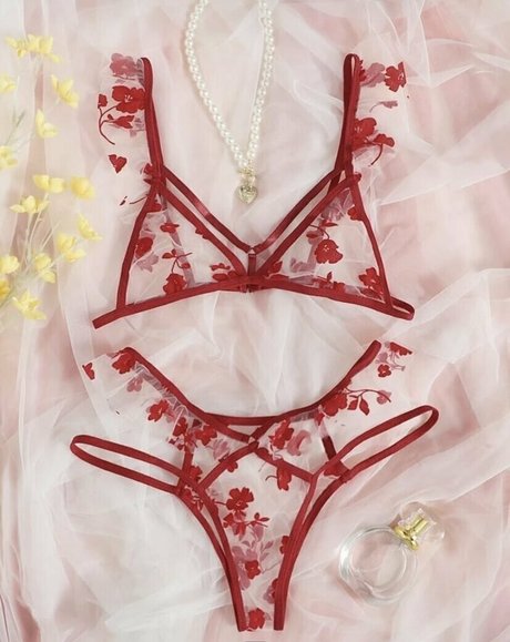 adelia adelia アダルトモデル ギャラリー