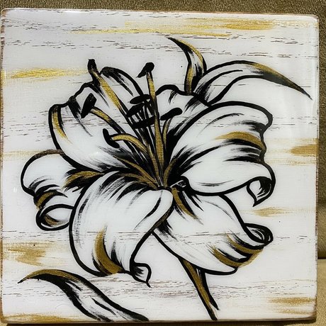 かわいいアナルオンリーファンズ ポルノ 写真