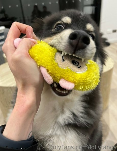 lollyfangs 裸のスター アーカイブ