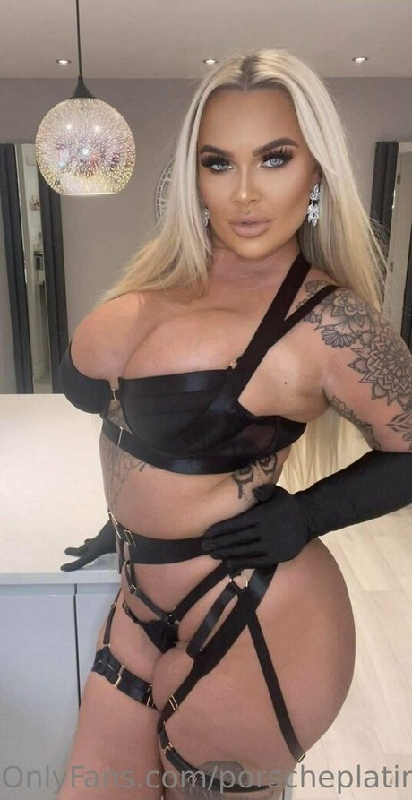 Porscheplatinum アダルトモデル ギャラリー