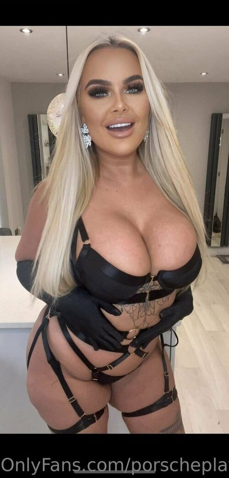 Porscheplatinum 高品質モデル 写真