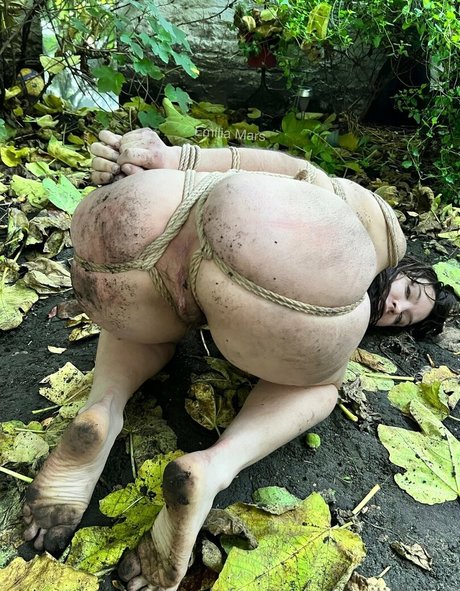 人気のトランスオンリーファンズ 無料アダルト 写真