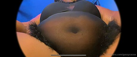 gassycocoa スター 画像