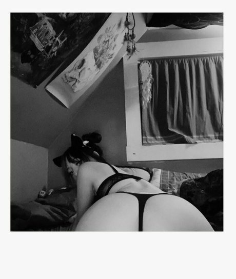 kayl3yz ポルノスター 独占 画像