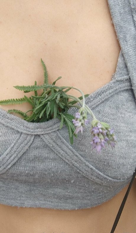 mayllie 完璧なスター 画像