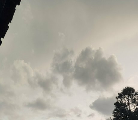 mayllie プロフィール写真