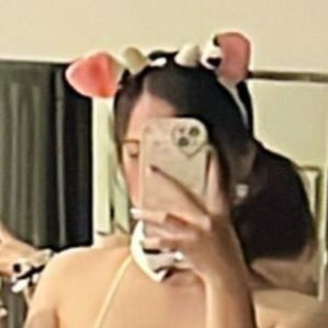 ワックスオンリーファン パーフェクト 写真