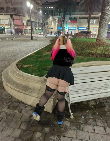 puppy grrr ポルノスター アート 画像