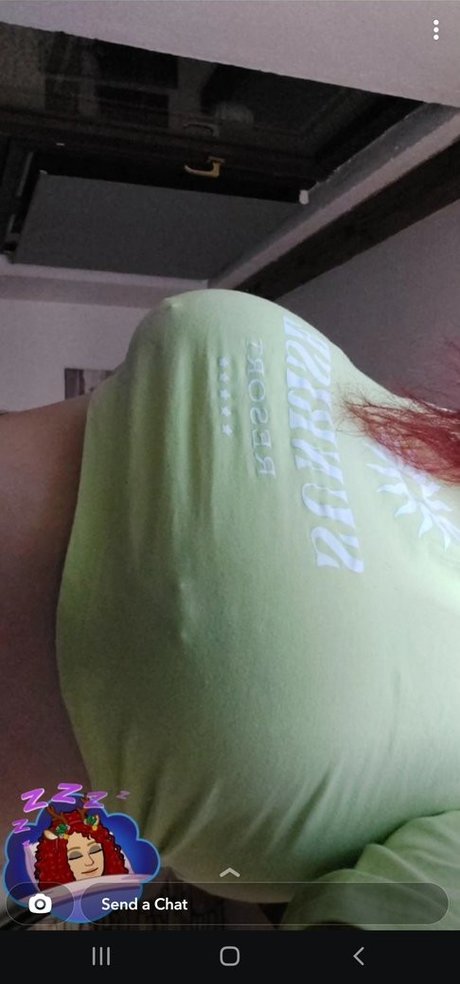 Bjelovar Krizevci_ 完璧なスター ギャラリー