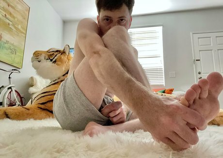 pupkurt スター 写真