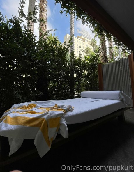 pupkurt 素敵なポルノスター 写真